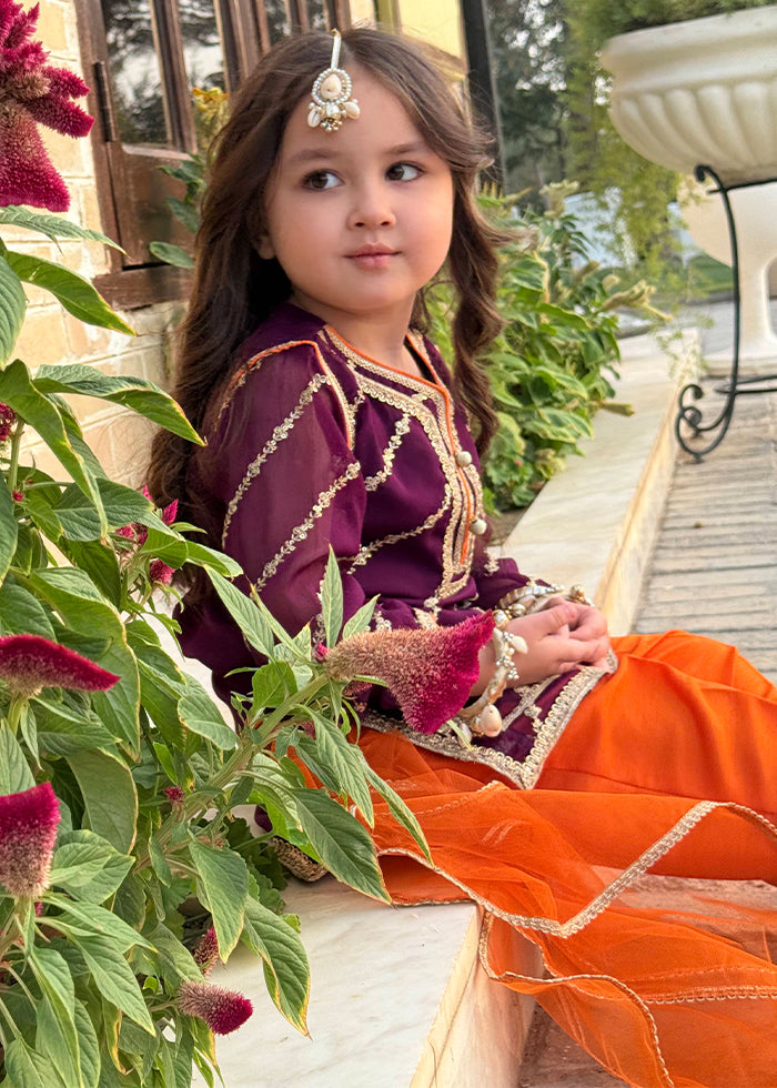 Embroidered Chiffon Dress for Girls