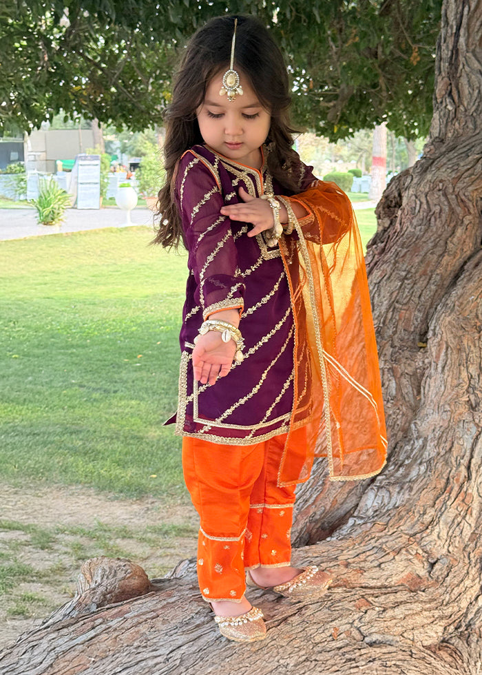 Embroidered Chiffon Dress for Girls