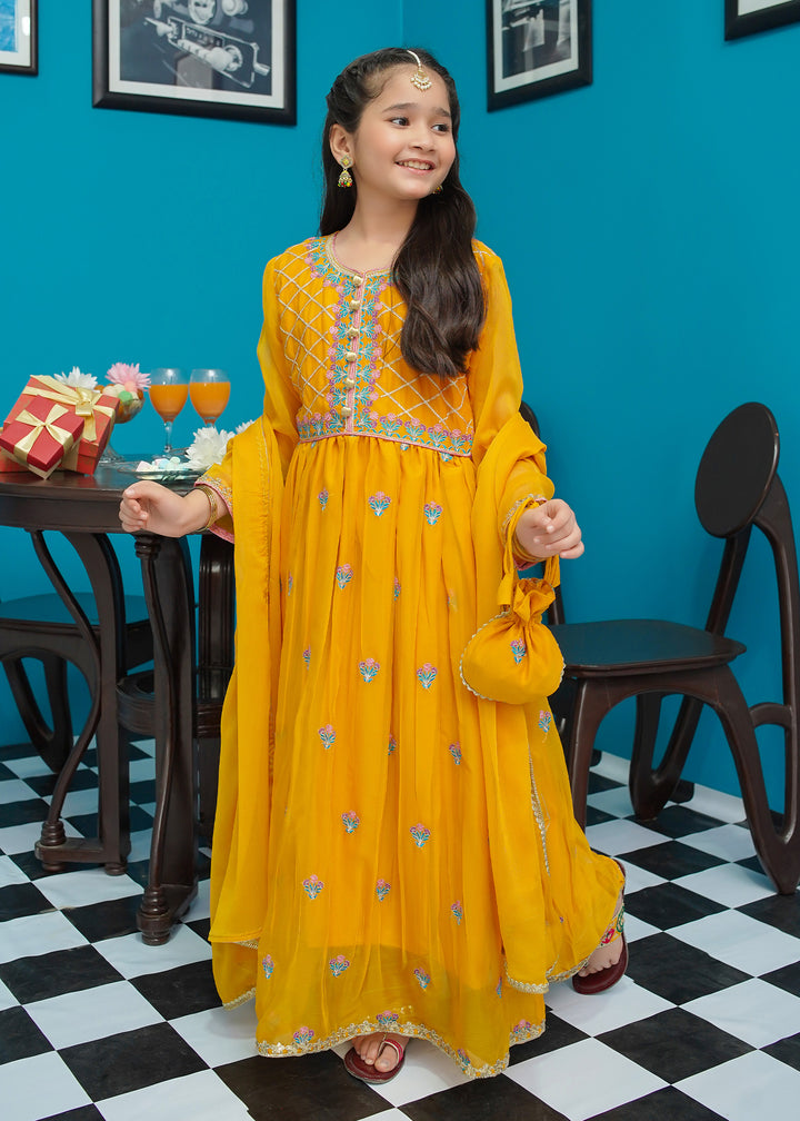 Pakistani Ethnic Wear Dress