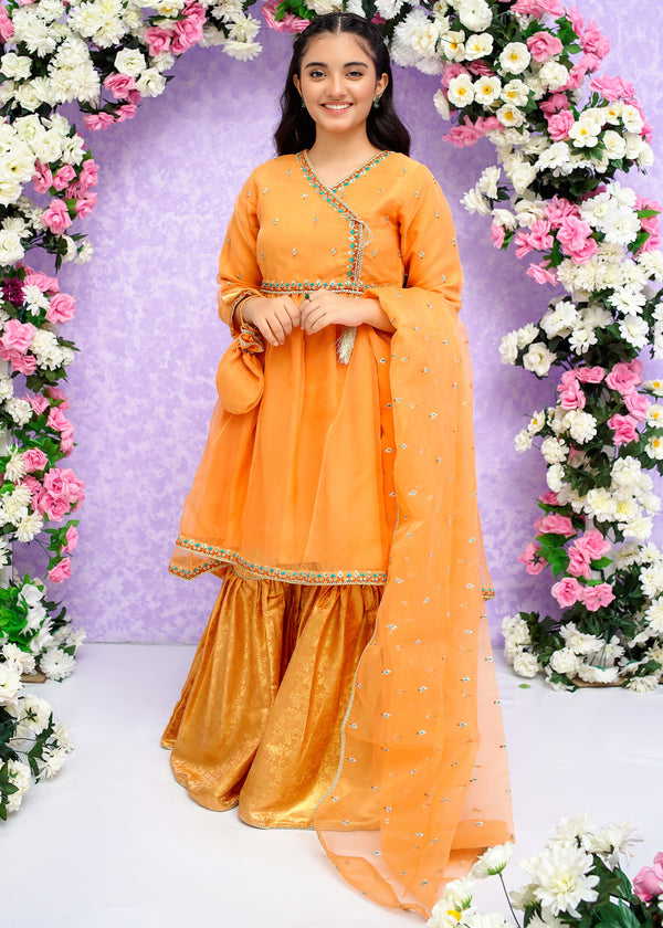 Formal Kids Wedding Wear