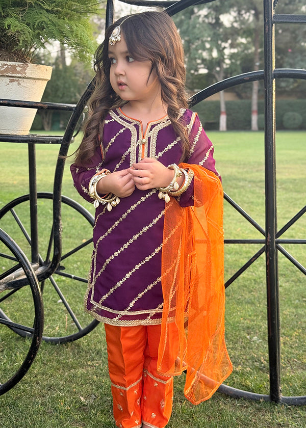 Embroidered Chiffon Dress for Girls