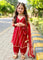 3 Piece Net Embroidered Suit