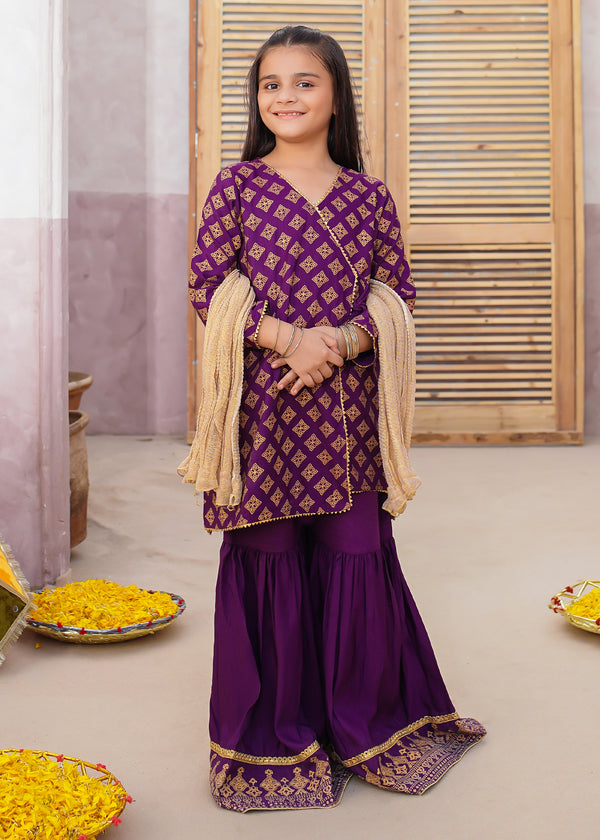 Rawsilk 3 Piece Purple Suit