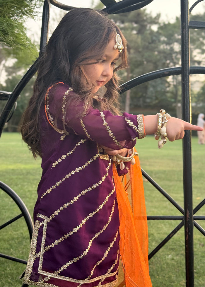 Embroidered Chiffon Dress for Girls