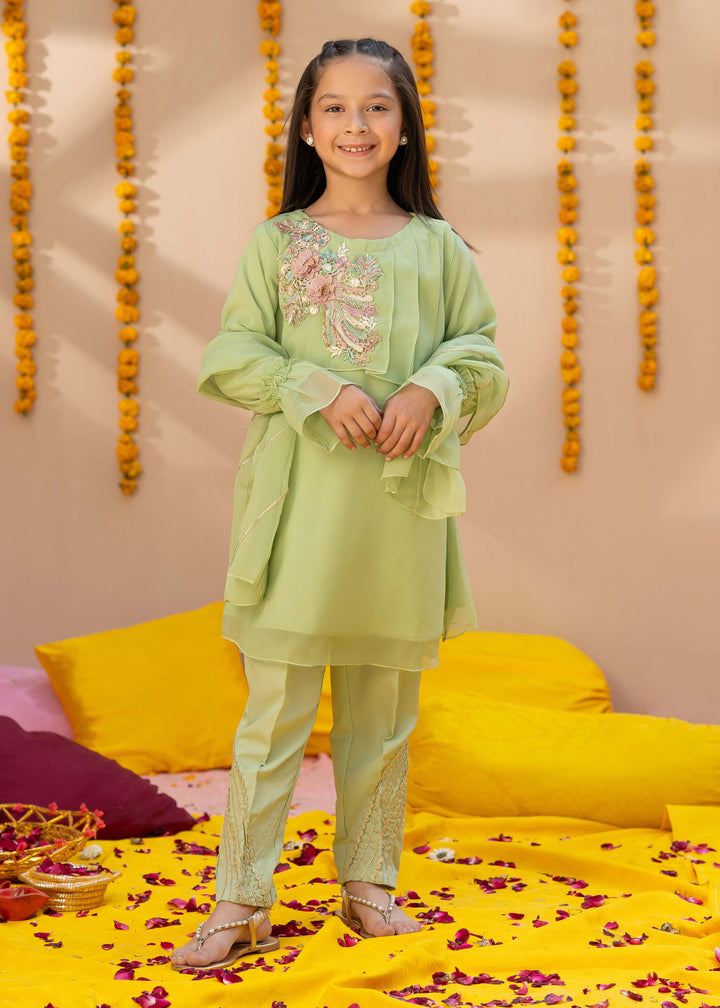 Pakistani Girls Embroidered 3 Piece Suit