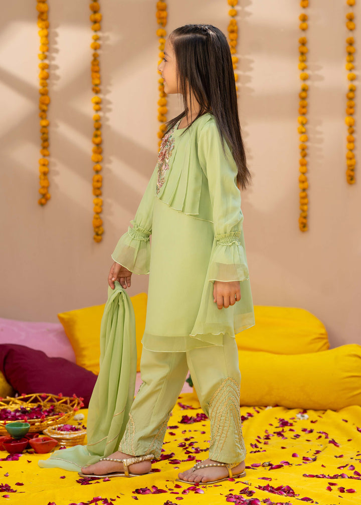 Pakistani Girls Embroidered 3 Piece Suit