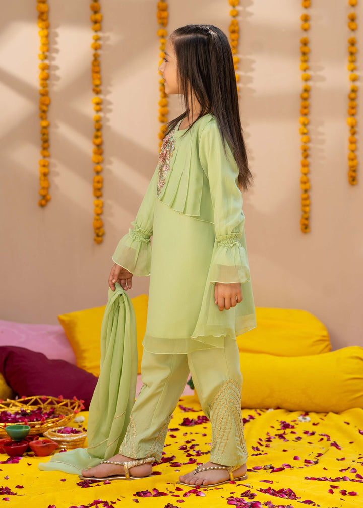Pakistani Girls Embroidered 3 Piece Suit