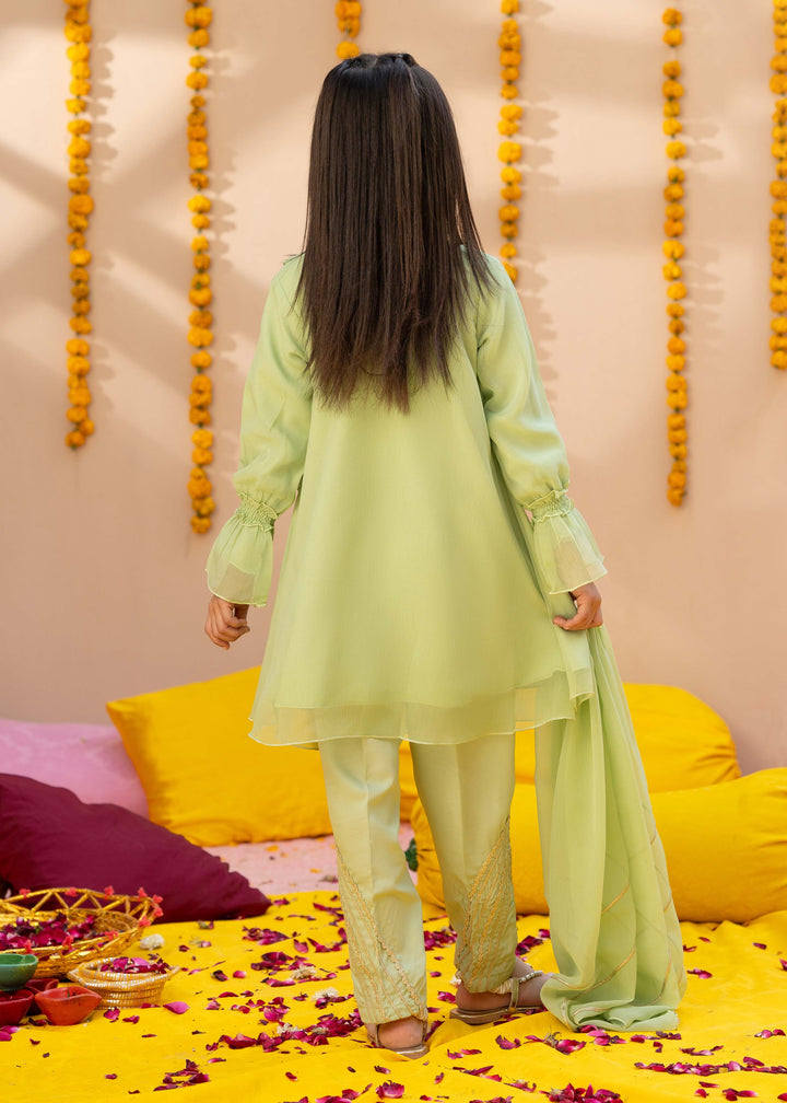 Pakistani Girls Embroidered 3 Piece Suit