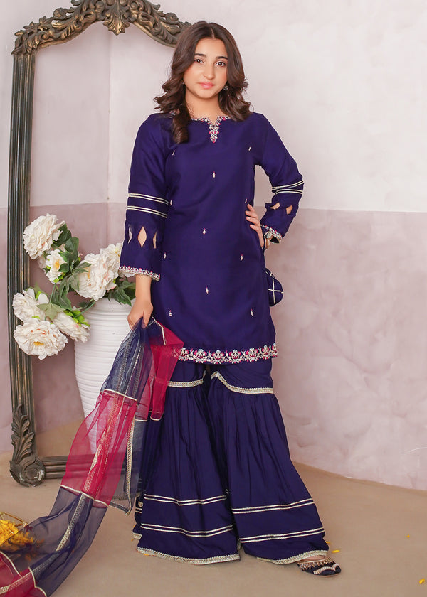 Girls Blue Embroidered Gharara