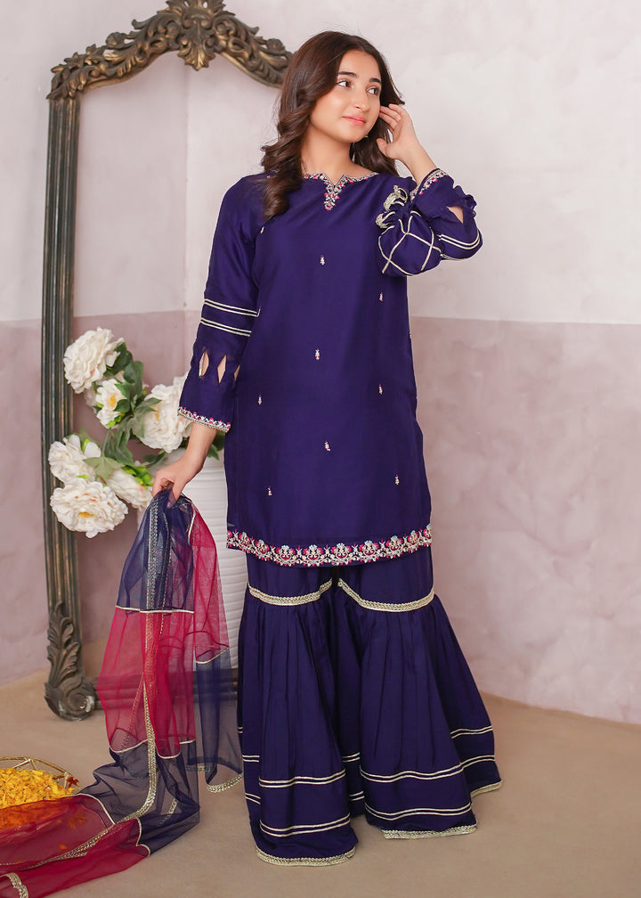 Girls Blue Embroidered Gharara