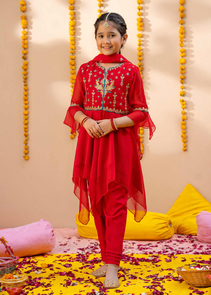 red embroidered dress pakistani Pakistani Red Bridal Dresses for Barat Luxurios Handwork Heavy Embroidered  Organza Bridal Dresses – Shazia Yasin main image 1