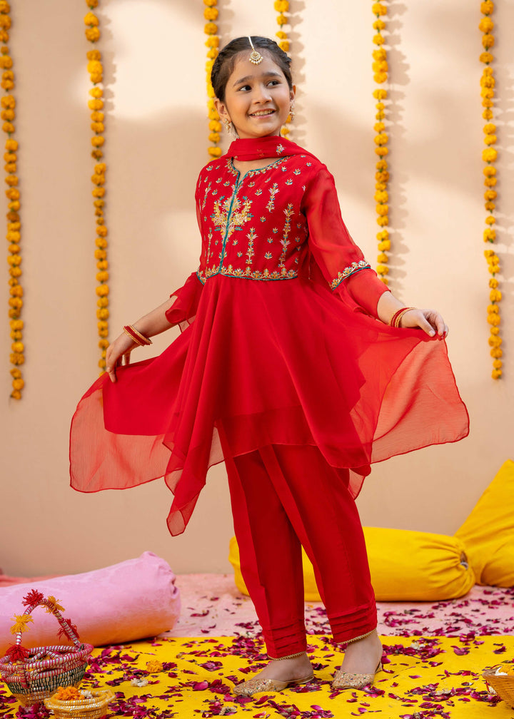Pakistani Red Embroidered Dress For Girls