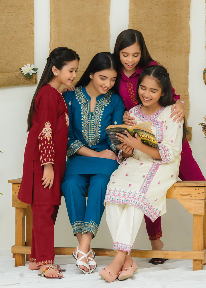 Khaddar embroidered dress