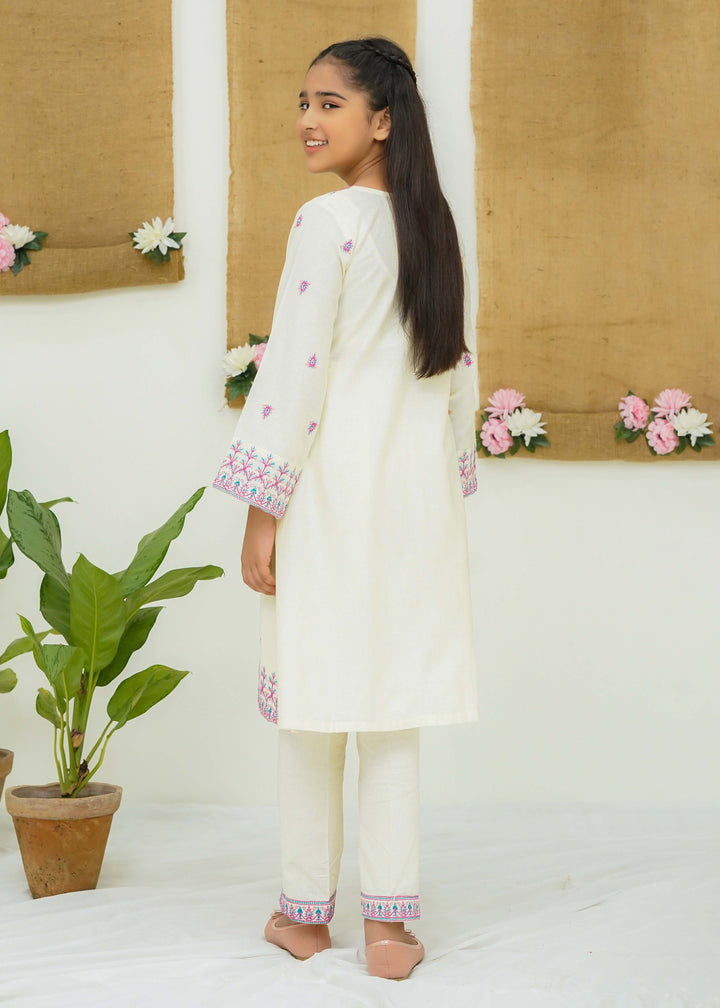 Khaddar embroidered dress