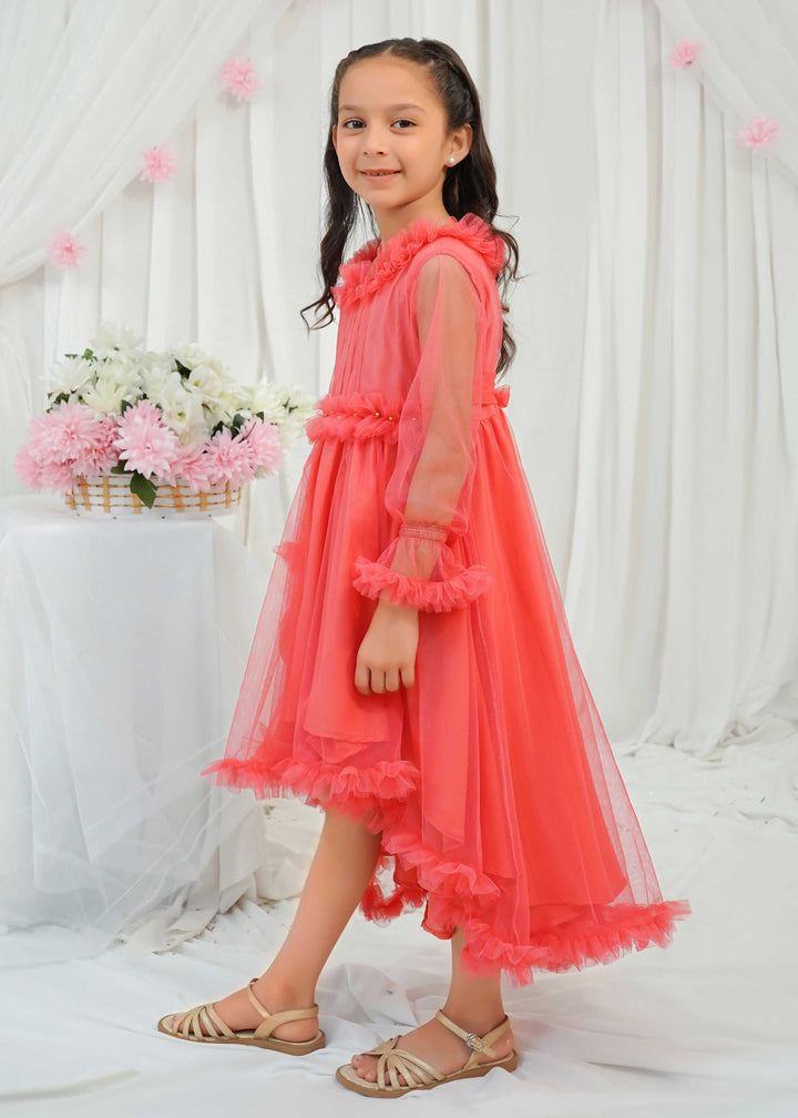 Girls Net Tail Frock