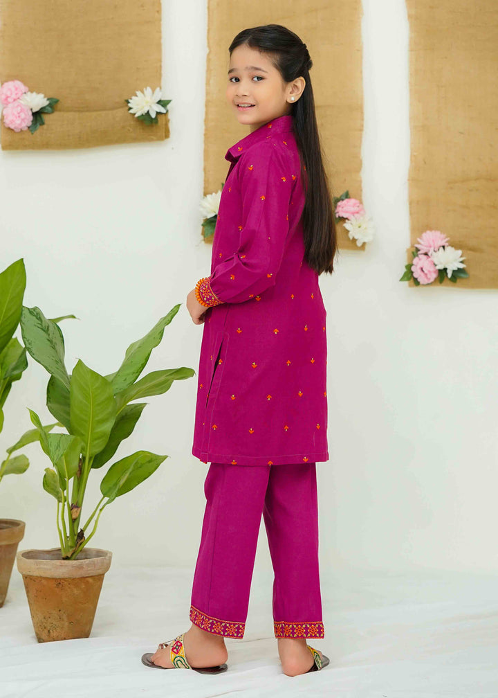 khaddar embroidered 2 piece suit