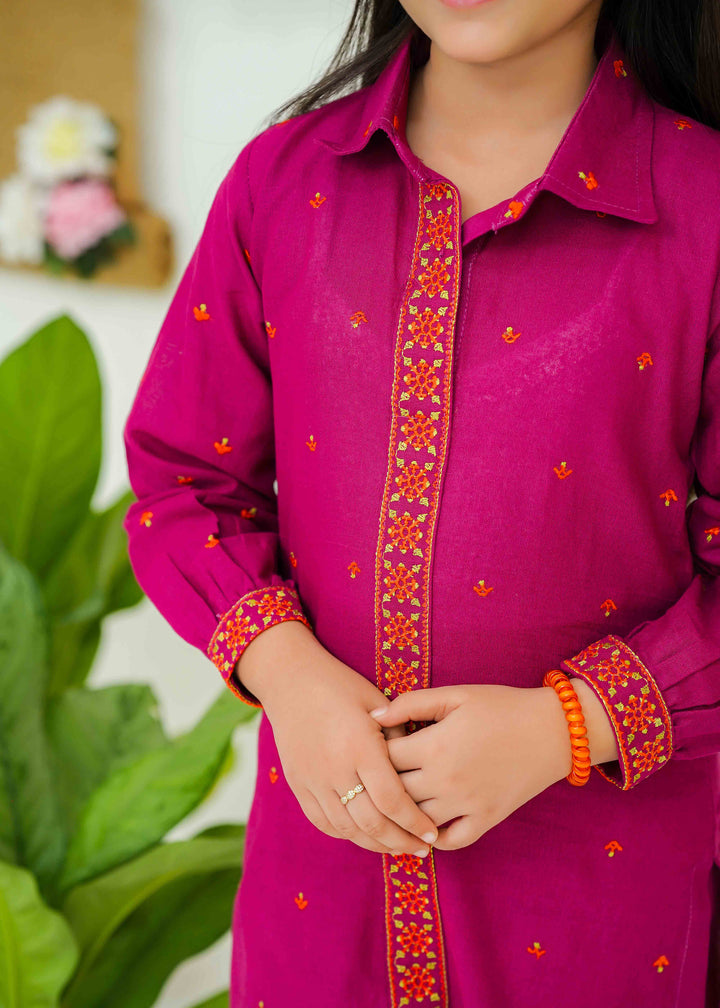 khaddar embroidered 2 piece suit