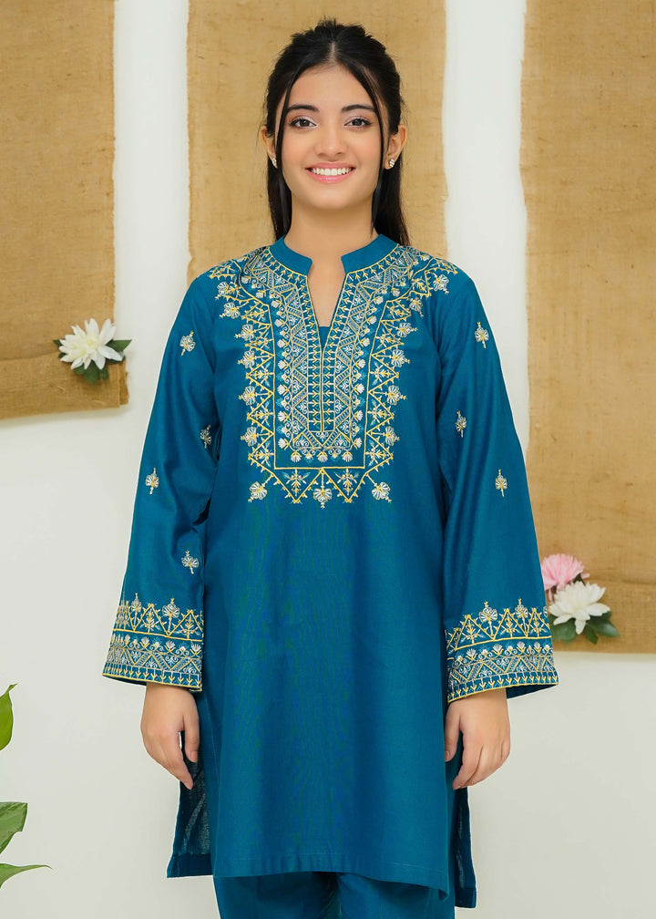 embroidered khaddar dress