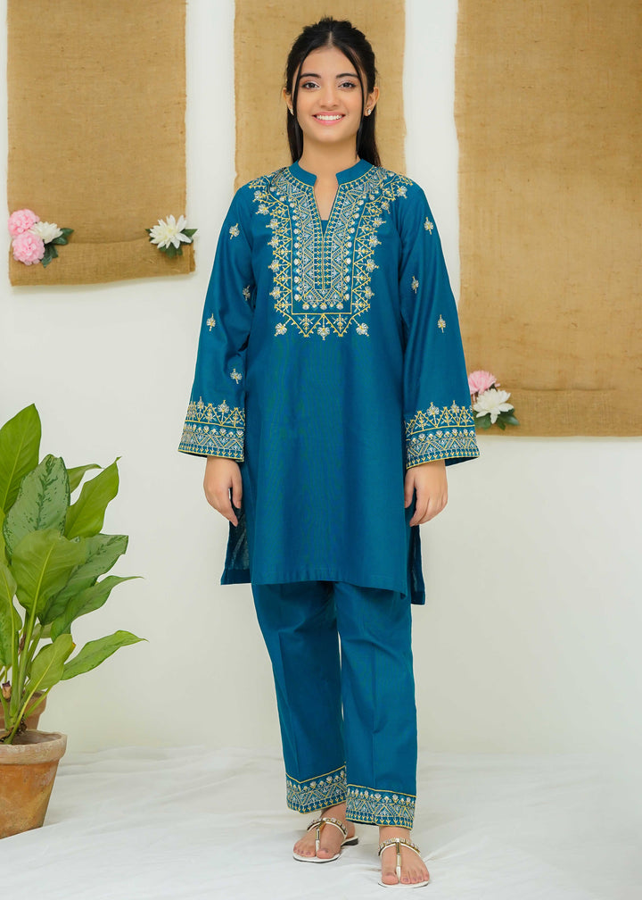 embroidered khaddar dress