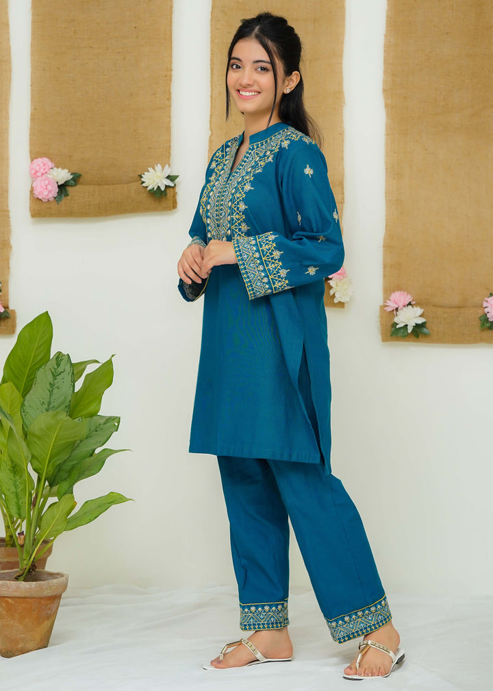 embroidered khaddar dress