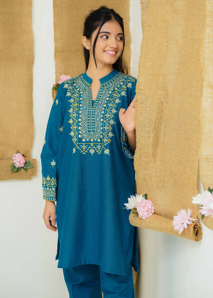 embroidered khaddar dress