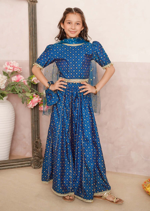 3 Piece Printed Rawsilk Blue Lehenga