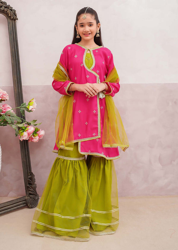 3 Piece Rawsilk Pink Embroidered Gharara