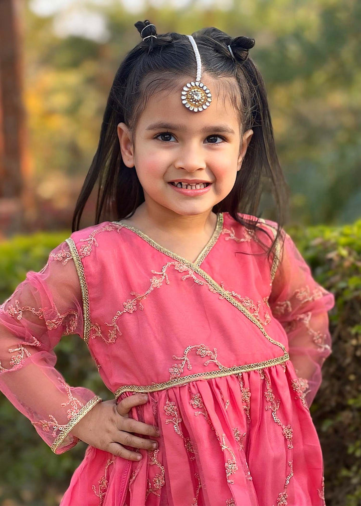 3 Piece Net Embroidered Suit