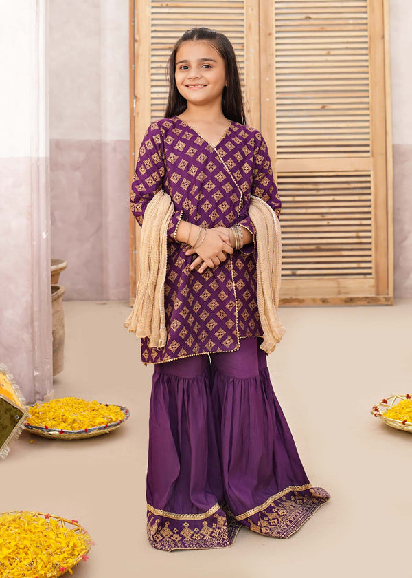 Rawsilk 3 Piece Purple Suit | 9345