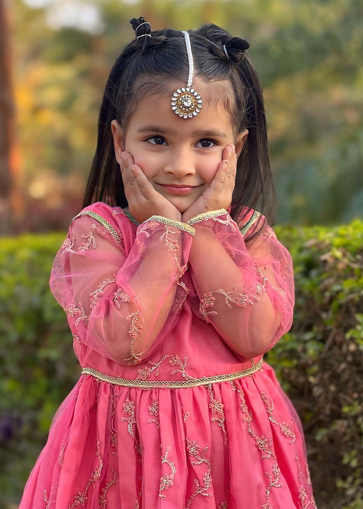 3 Piece Net Embroidered Suit