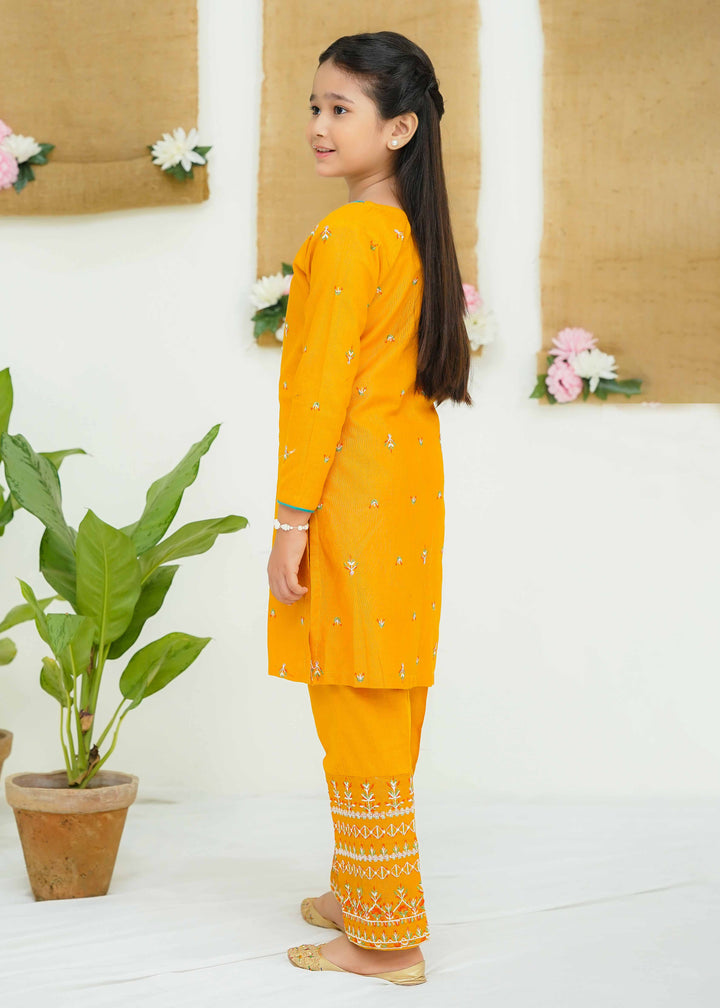 girls khaddar dress