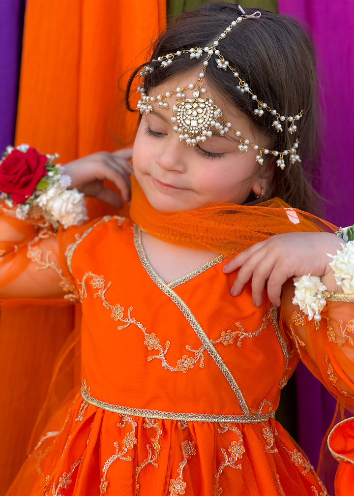 Embroidered Net 3 Piece Suit