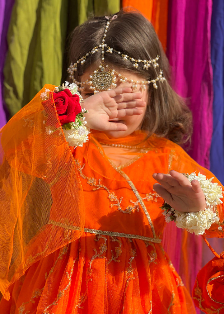 Embroidered Net 3 Piece Suit