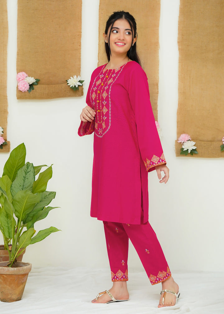 Two Piece Embroidered Khaddar