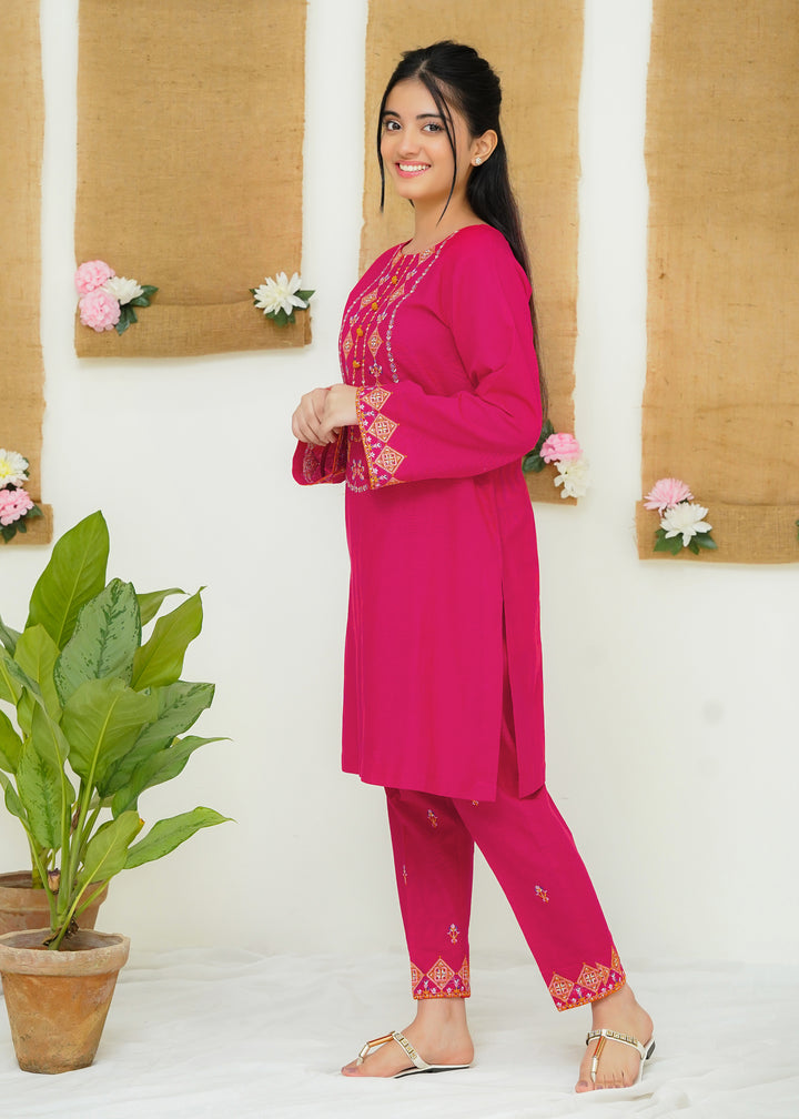 Two Piece Embroidered Khaddar