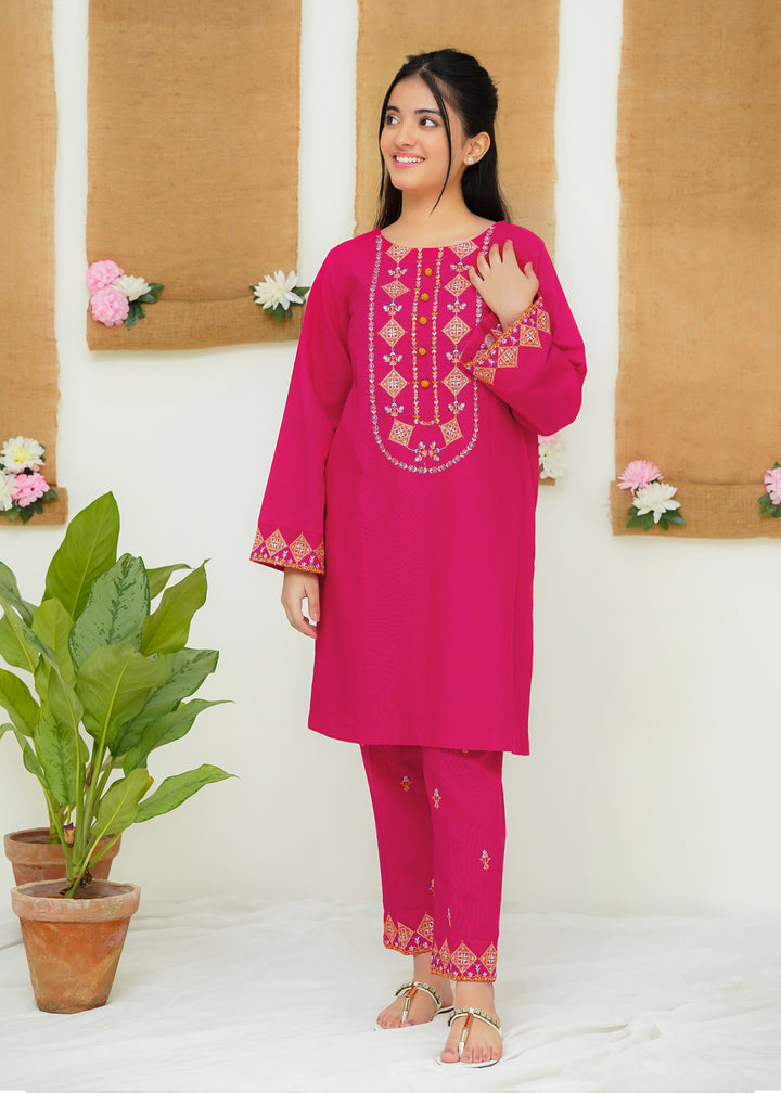 Two Piece Embroidered Khaddar