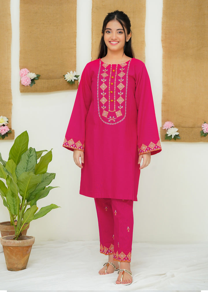 Two Piece Embroidered Khaddar