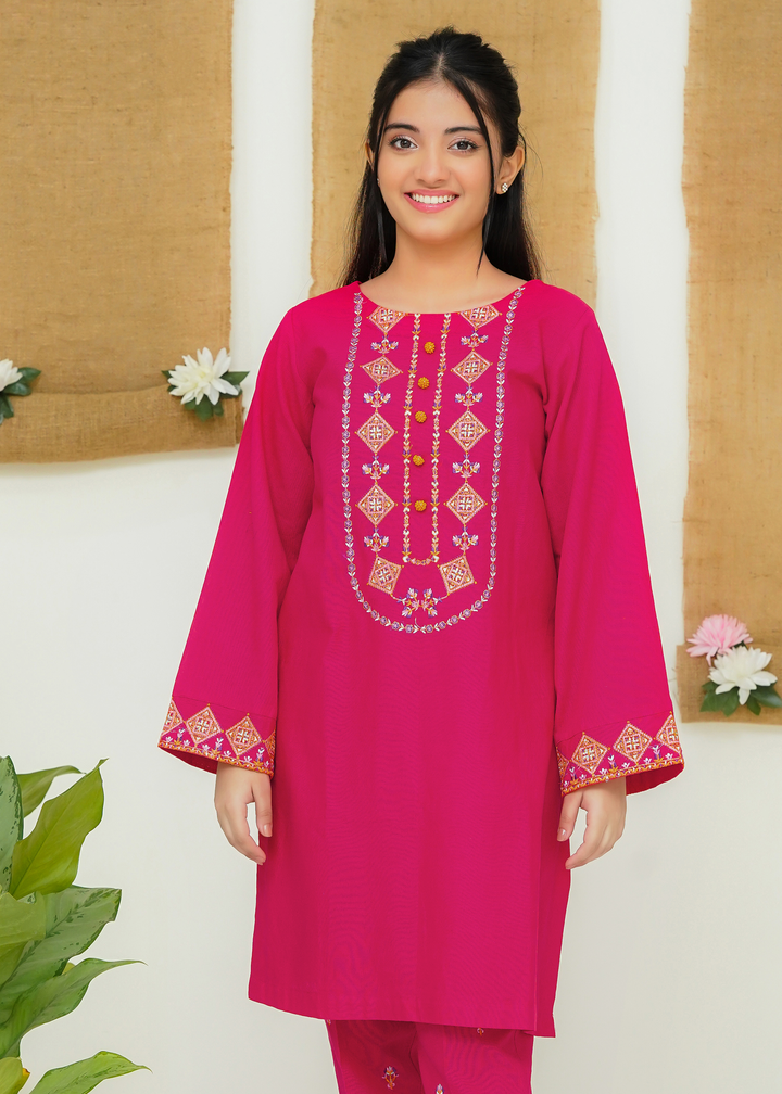 Two Piece Embroidered Khaddar