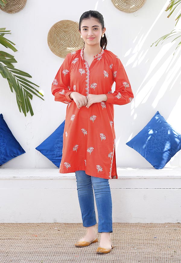 embroidered cotton lawn kurta