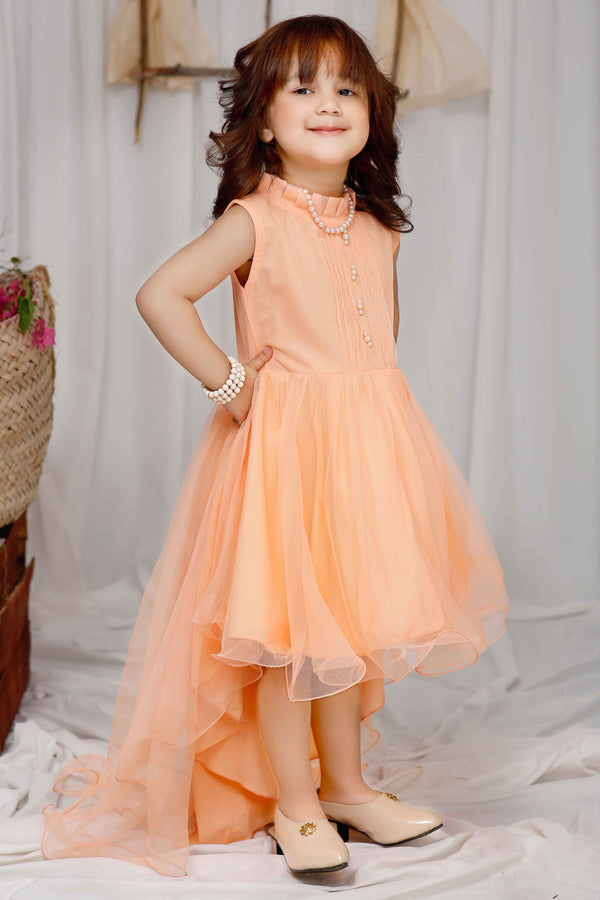Peach Rose
